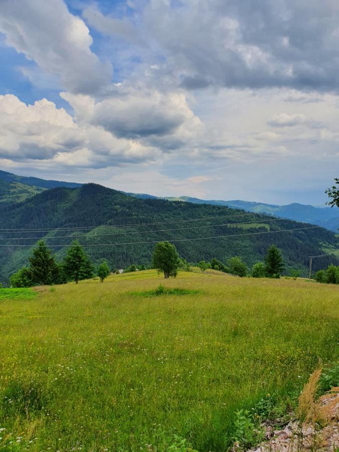 Pensiune Agroturistica Casa Alex Baba Buitenkant foto