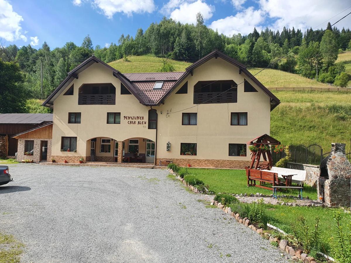 Pensiune Agroturistica Casa Alex Baba Buitenkant foto