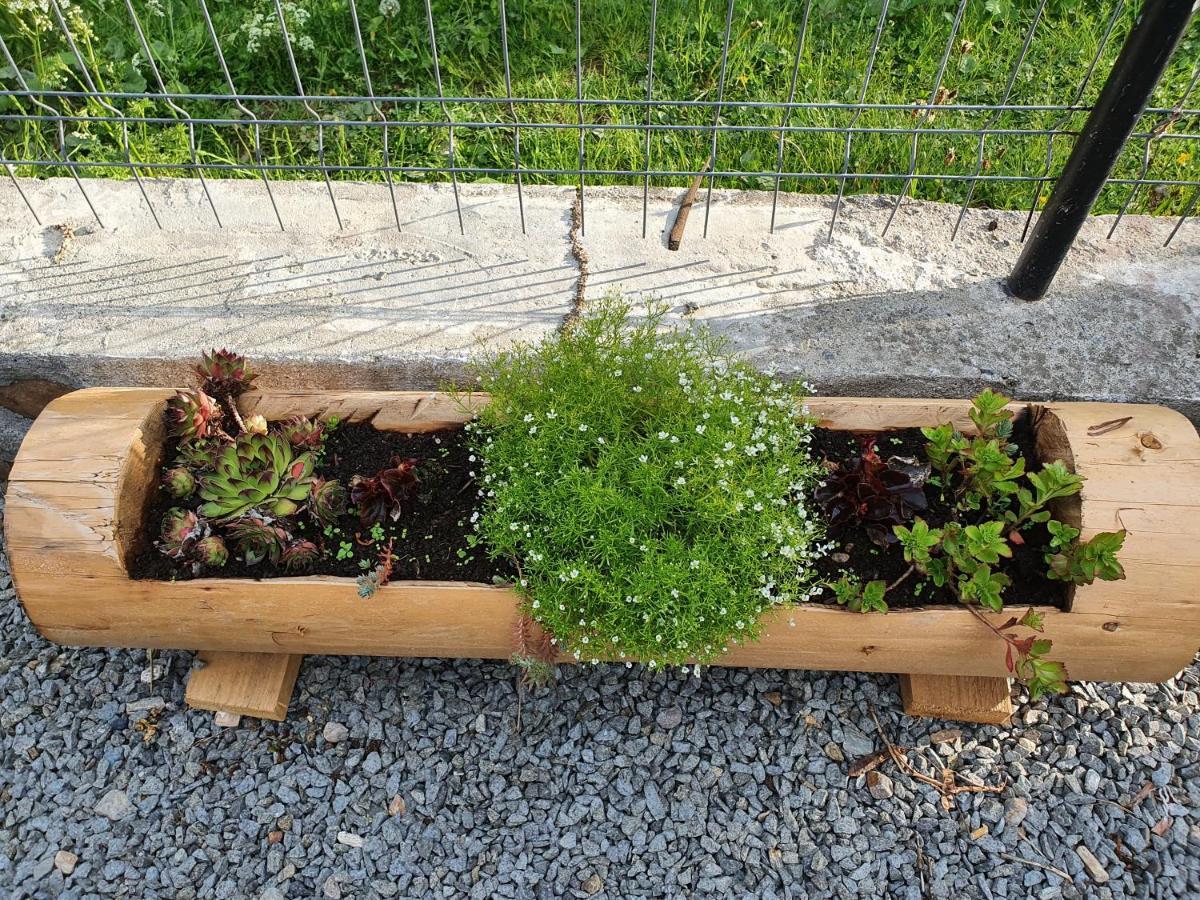 Pensiune Agroturistica Casa Alex Baba Buitenkant foto