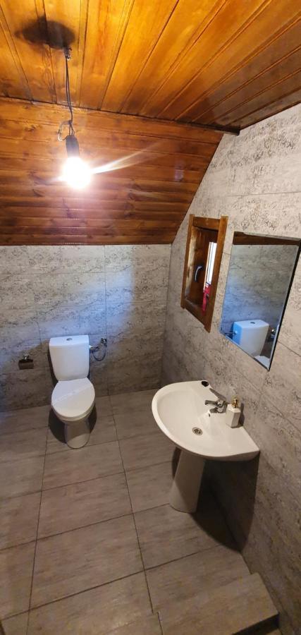 Pensiune Agroturistica Casa Alex Baba Buitenkant foto